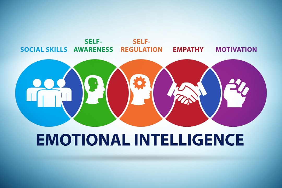 The Ultimate Guide to Emotional Intelligence and Leadership Development for Modern Professionals